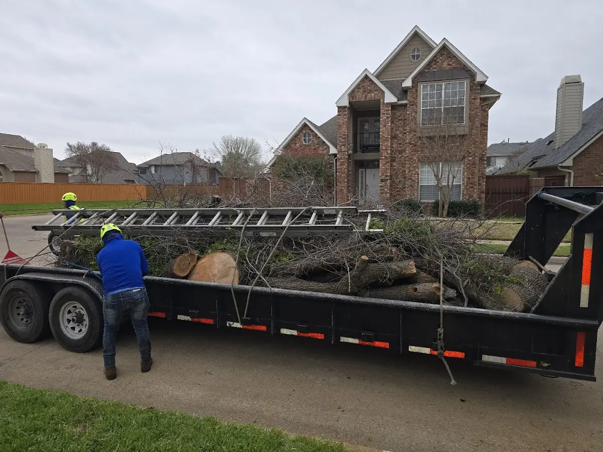 Expert Lot Clearing with proper safety equipment in Monte Rio